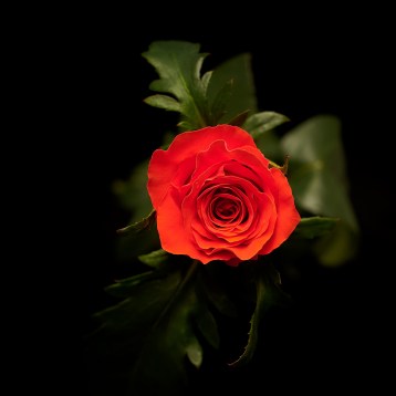 5а_классическая--salsa----------tia_4014
